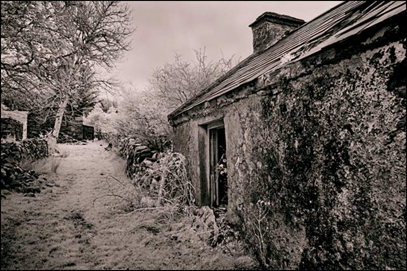 Famine Village Duniewy No 6.tif